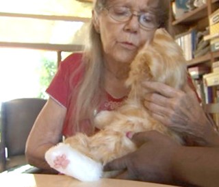 Patient plays with mechanical cat